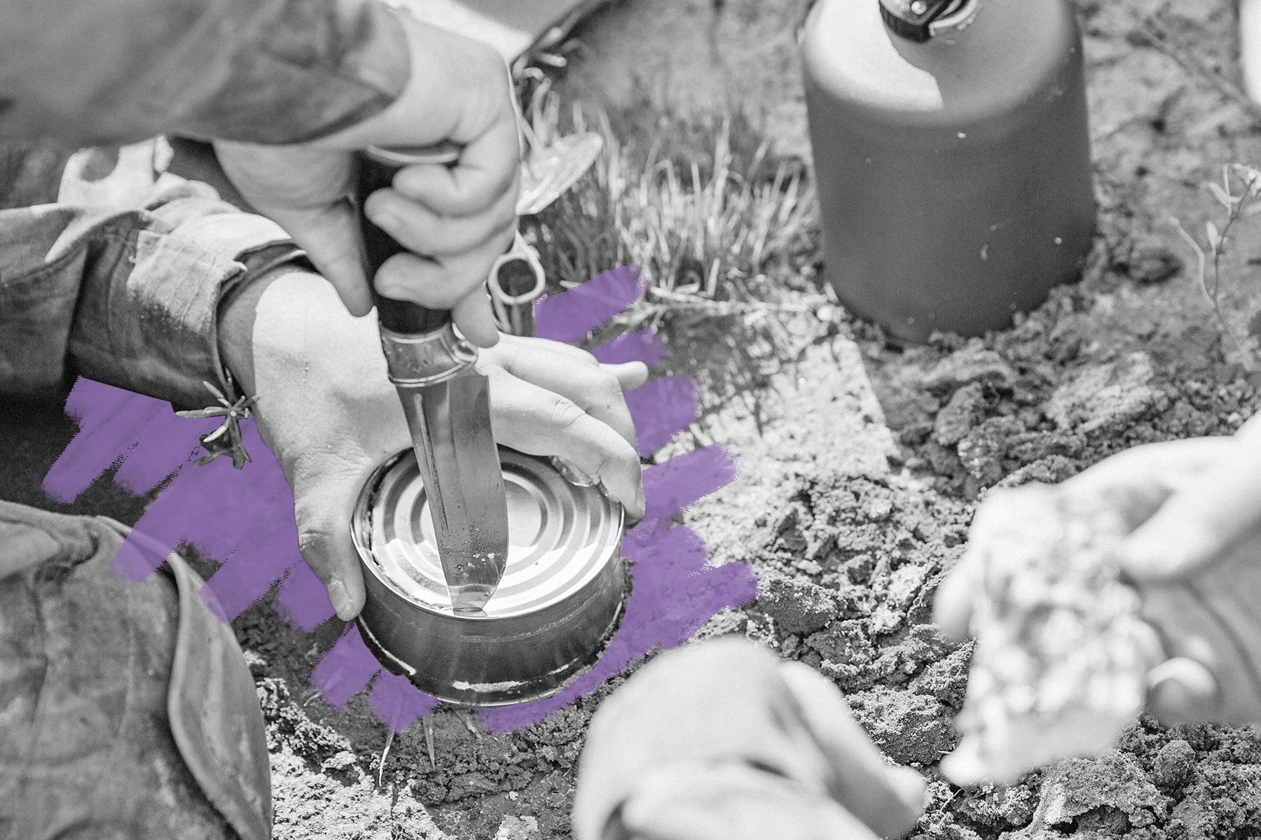 Military canned food