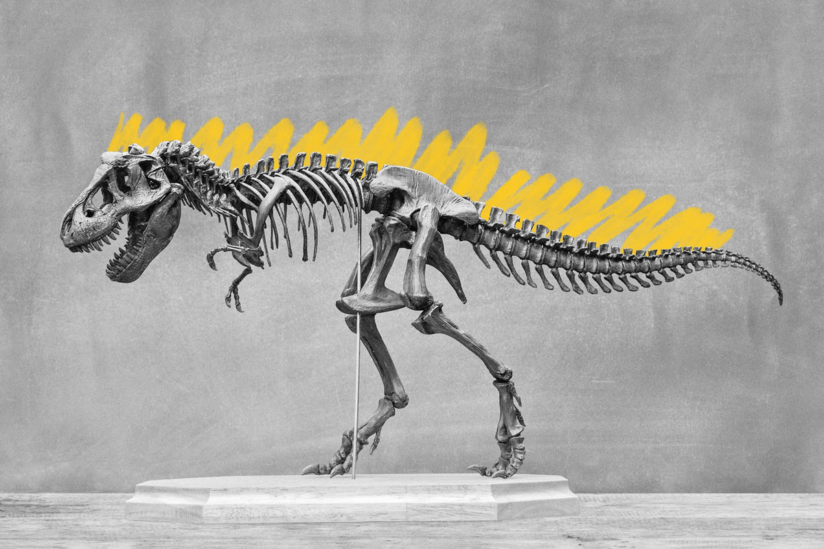 T-rex skeleton