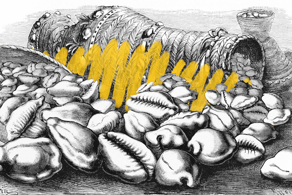 Cowrie shells used as money