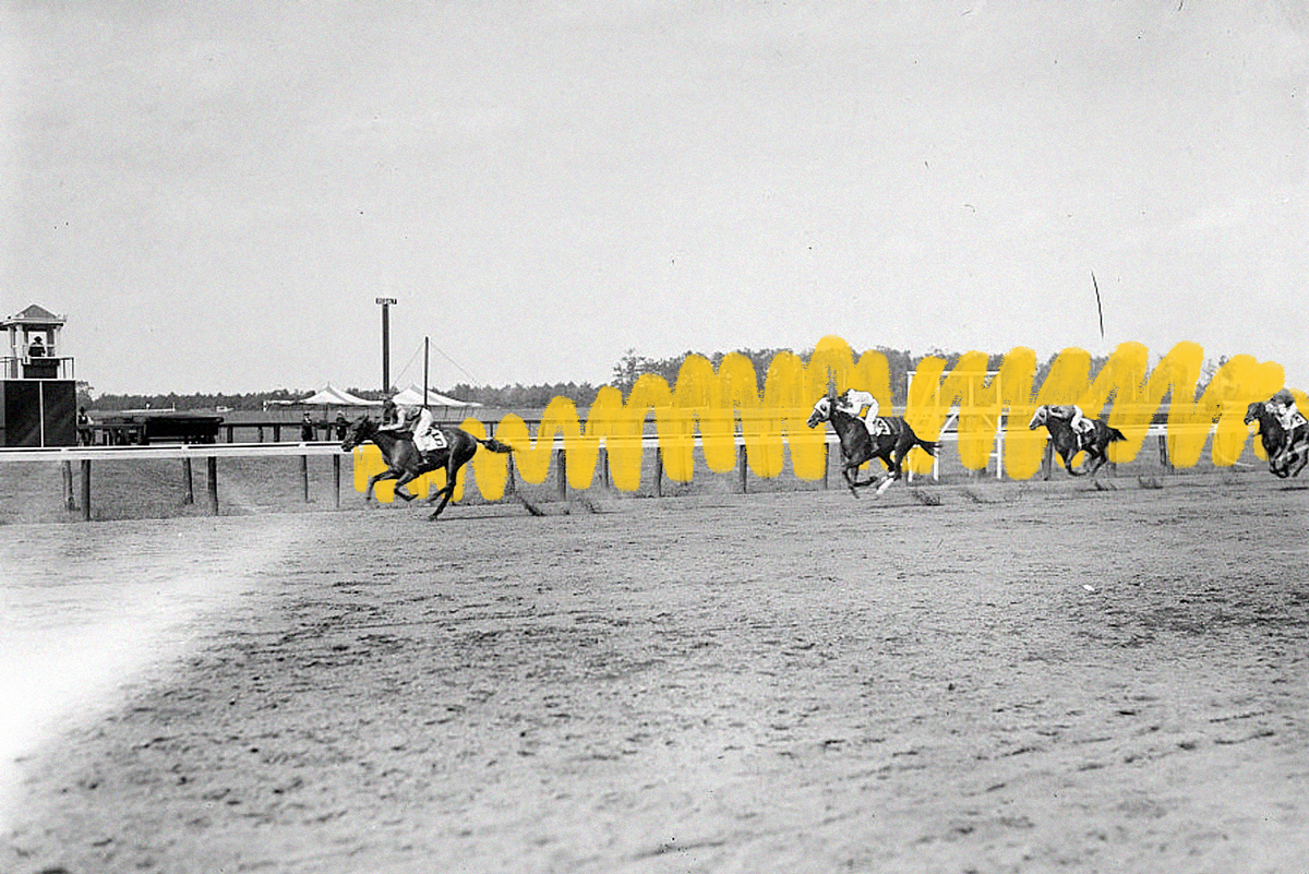 Horses racing at Belmont Park